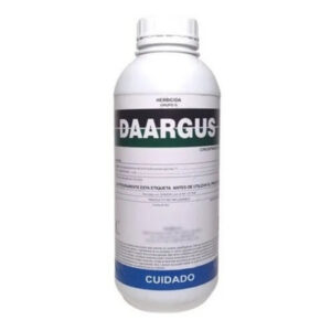 DAARGUS 1000CC