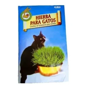 HIERBA PARA GATOS 50GR